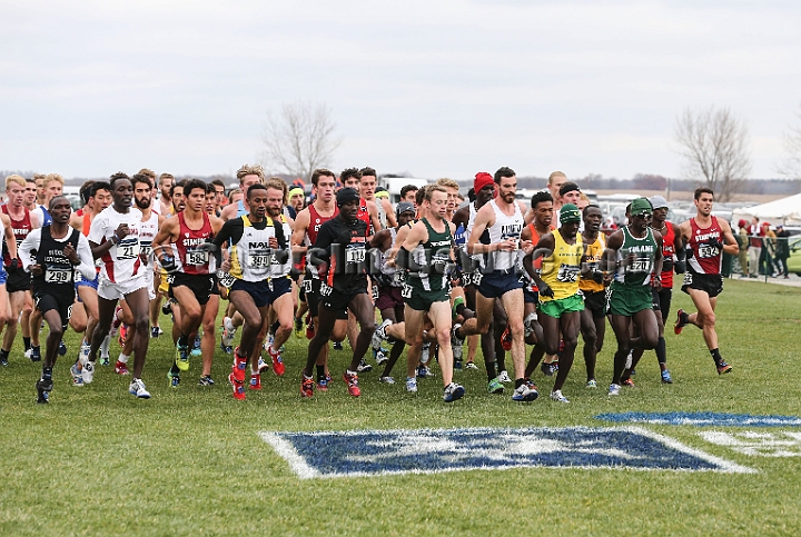 2016NCAAXC-050.JPG - Nov 18, 2016; Terre Haute, IN, USA;  at the LaVern Gibson Championship Cross Country Course for the 2016 NCAA cross country championships.